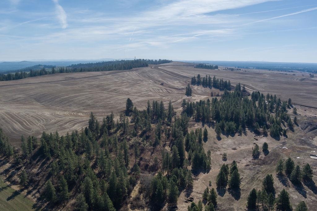 Xx Vacant Land Xx Vacant Land Road Cheney, WA 99004 - Photo 11 of 12 Gallery Image 11