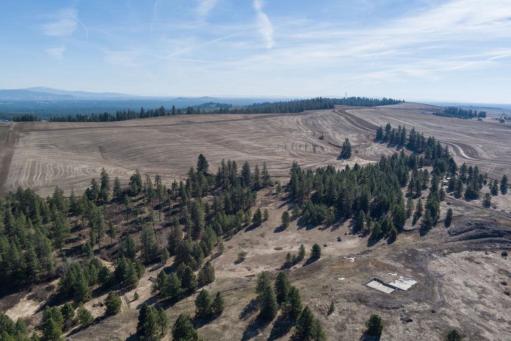 Xx Vacant Land Xx Vacant Land Road Cheney, WA 99004 - Photo 12 of 12 Gallery Image 12