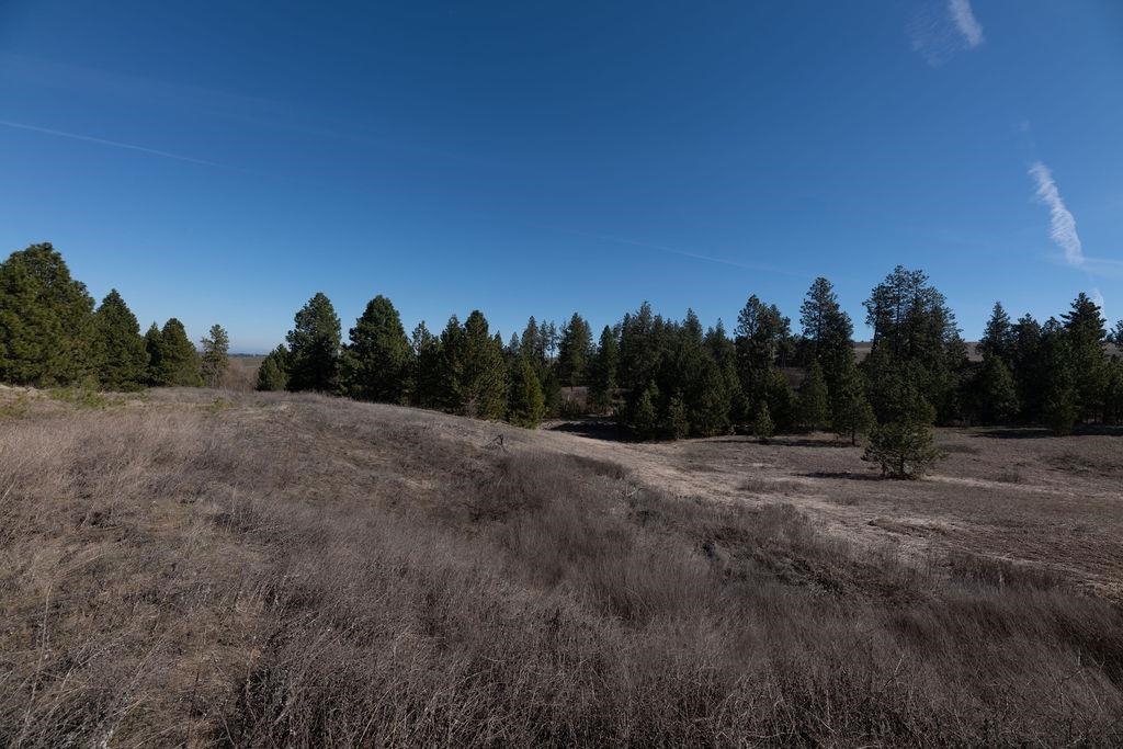 Xx Vacant Land Xx Vacant Land Road Cheney, WA 99004 - Photo 3 of 12 Gallery Image 3