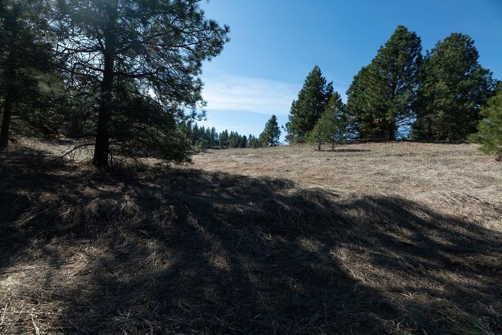 Xx Vacant Land Xx Vacant Land Road Cheney, WA 99004 - Photo 4 of 12 Gallery Image 4