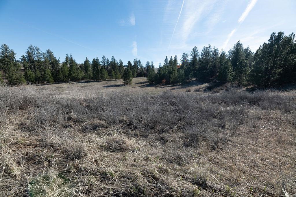 Xx Vacant Land Xx Vacant Land Road Cheney, WA 99004 - Photo 5 of 12 Gallery Image 5