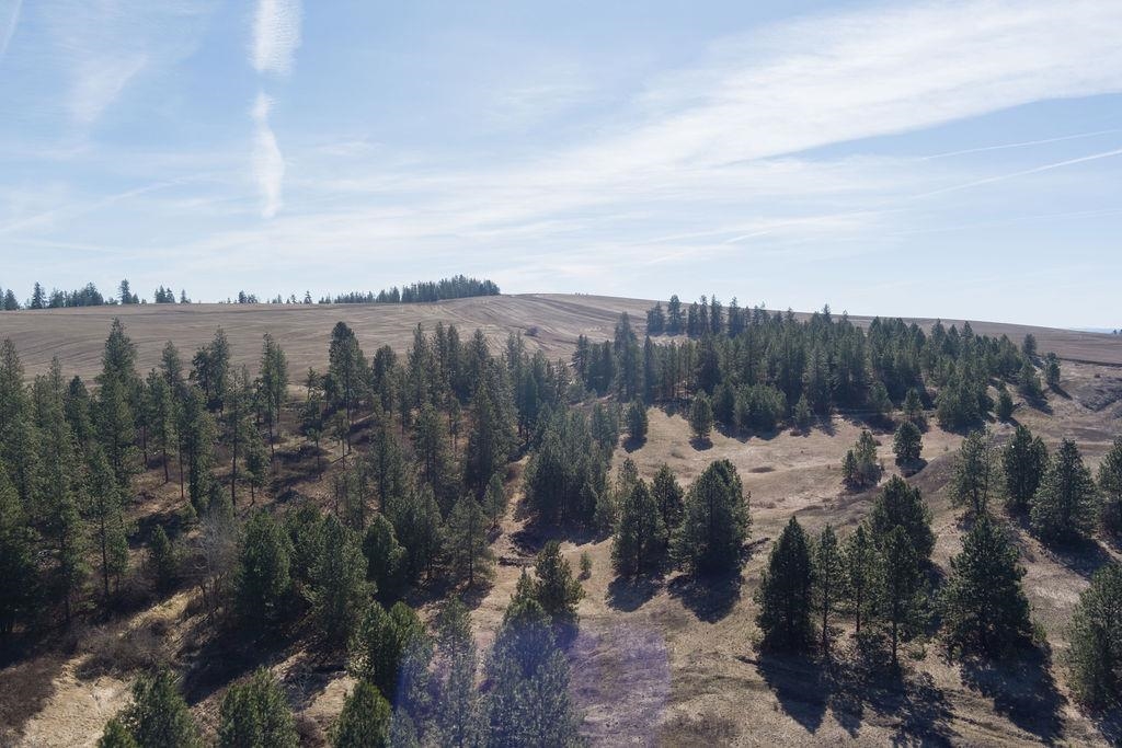 Xx Vacant Land Xx Vacant Land Road Cheney, WA 99004 - Photo 8 of 12 Gallery Image 8