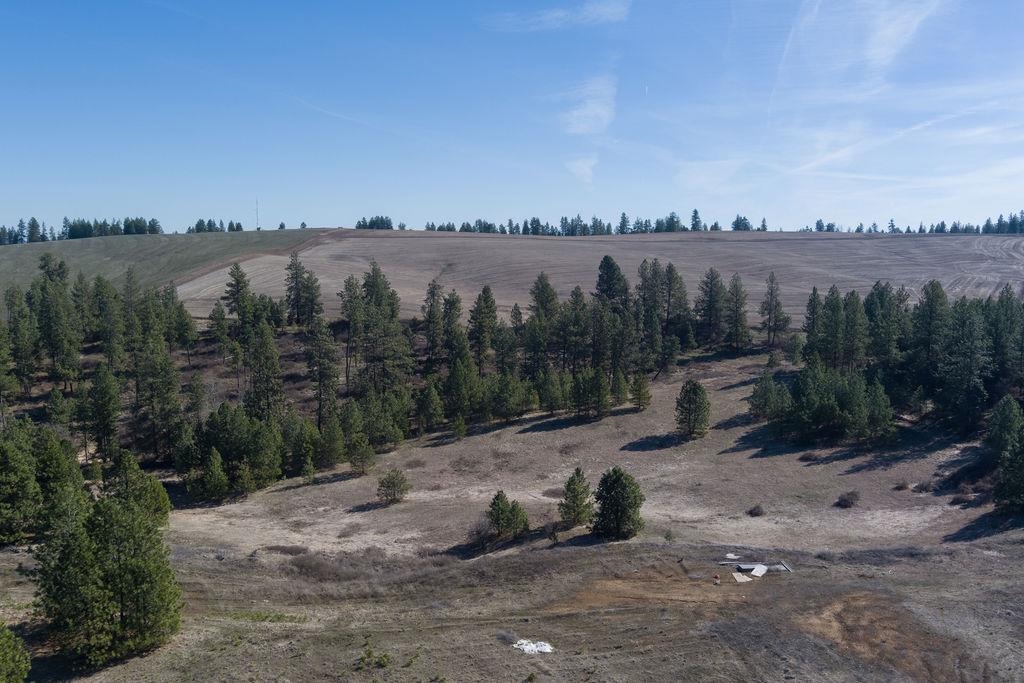 Xx Vacant Land Xx Vacant Land Road Cheney, WA 99004 - Photo 9 of 12 Gallery Image 9