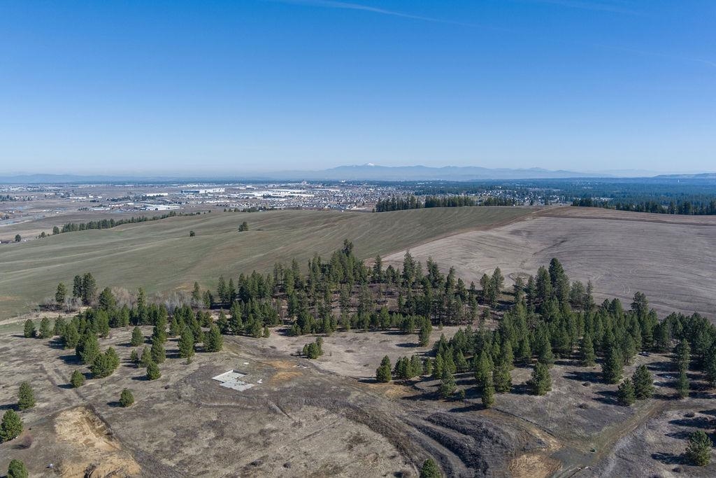 Xx Vacant Land Xx Vacant Land Road Cheney, WA 99004 - Photo 10 of 12 Gallery Image 10