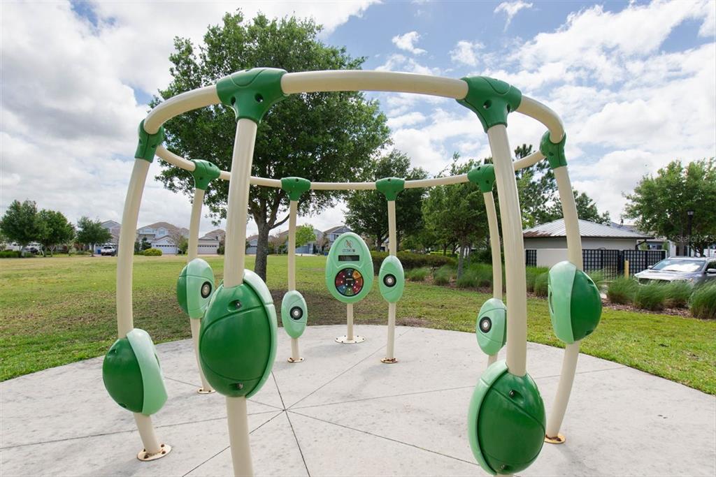 6210 Heirloom Place Apollo Beach, FL 33572 - Photo 54 of 57