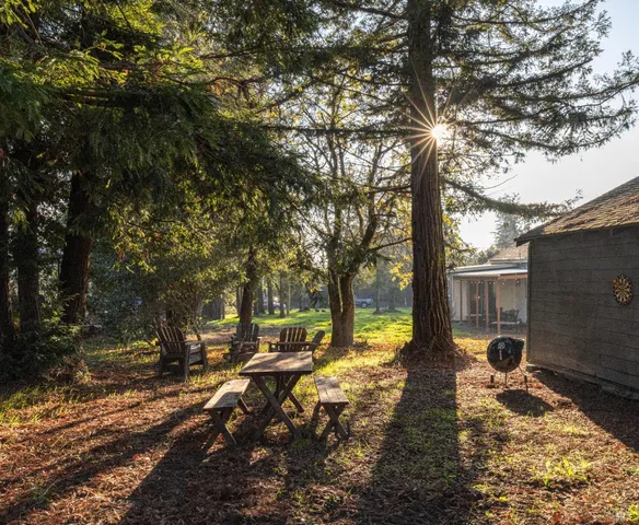 a view of street with yard and trees