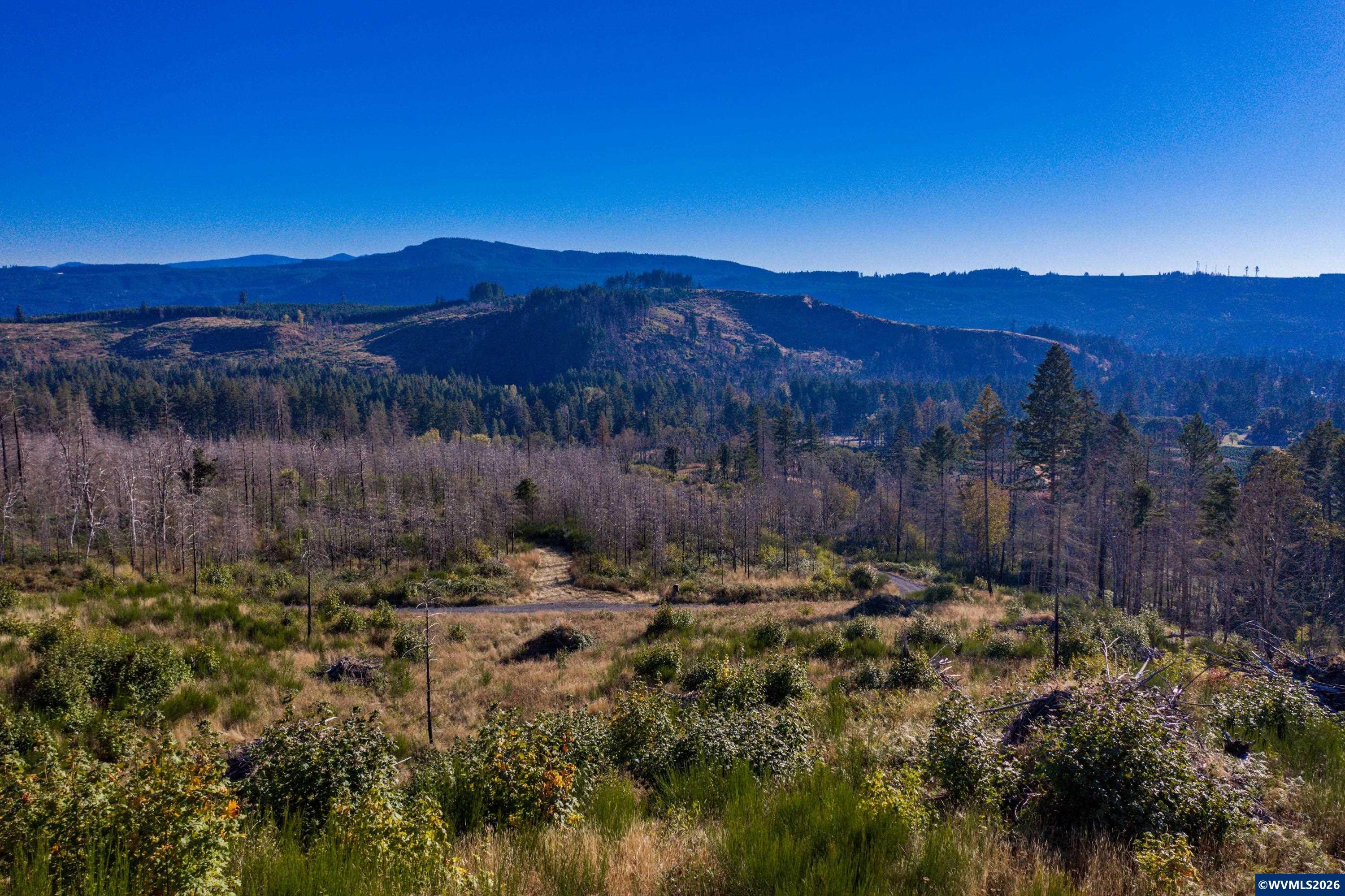 10915 Southeast Kubin Road Lyons, OR 97358 - Photo 33 of 37 a view of a large tree with mountains in the background