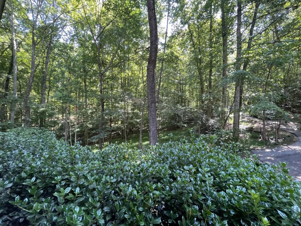 988 Rocktree Road Dahlonega, GA 30533 - Photo 30 of 53