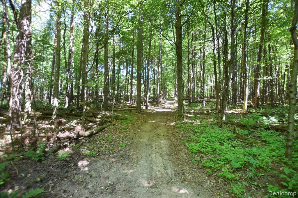 5298 Clear Lake Road North Branch, MI 48461 - Photo 41 of 44