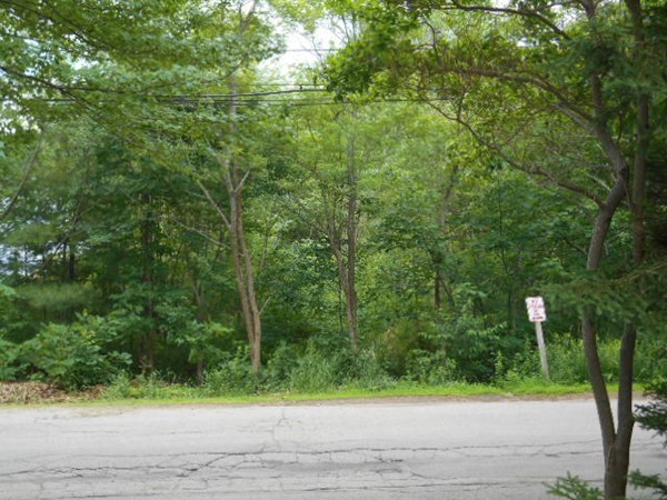 8 Victoria Avenue Rutland, MA 01543 - Photo 29 of 30 a view of a yard