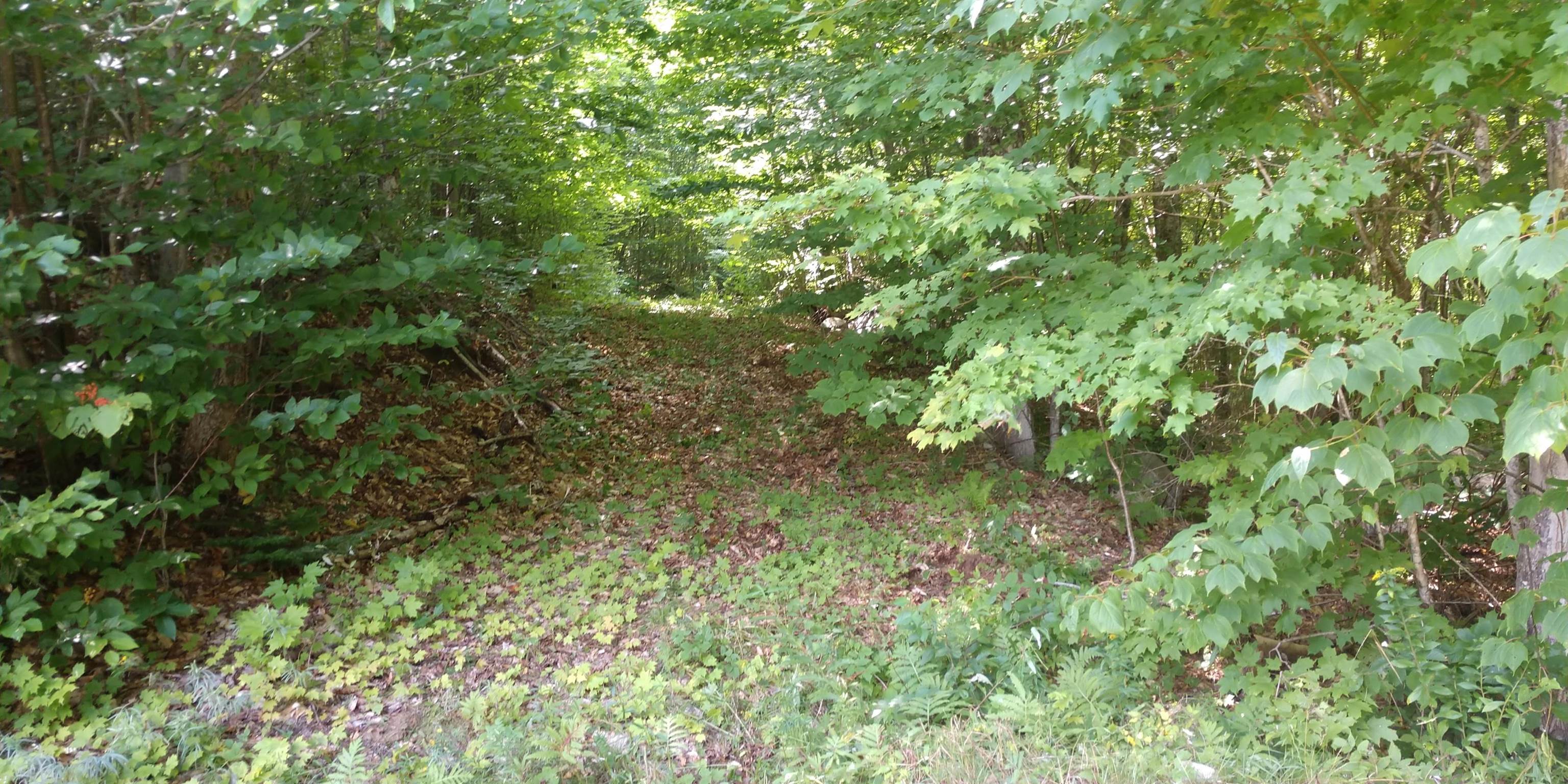 3 Bear Cub Retreat Road, Unit 23 Errol, NH 03579 - Photo 21 of 38 Gallery Image 21