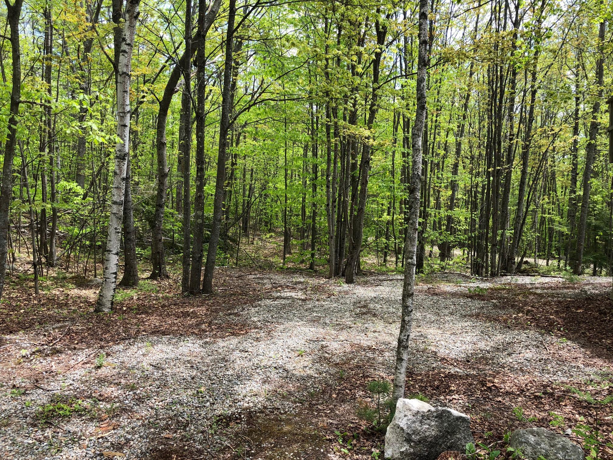 48 Dearborn Road Canton, ME 04221 - Photo 29 of 41 Land 2