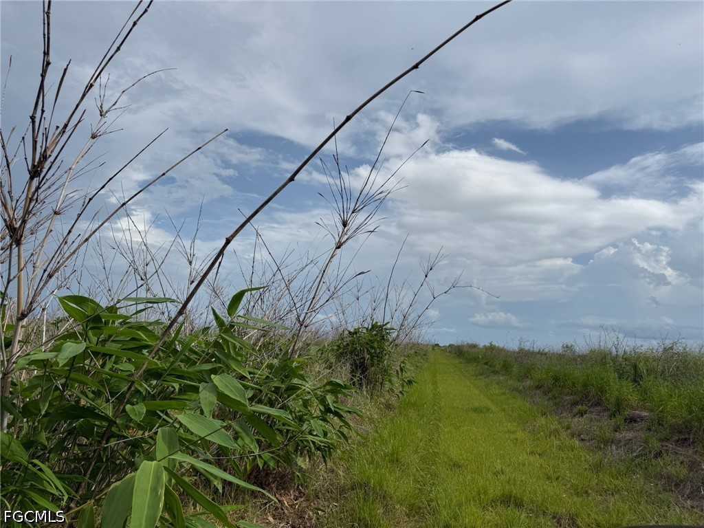 6658-6680 4th Road LaBelle, FL 33935 - Photo 3 of 14 a view of a yard