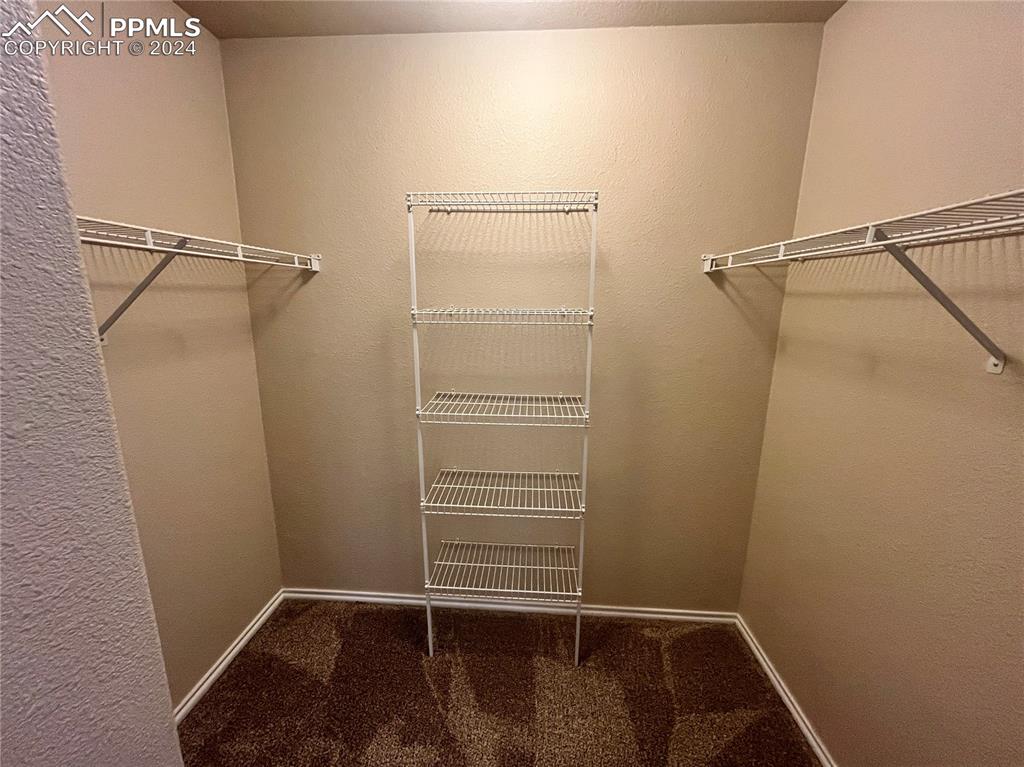 3731 Riviera Grove, Unit 203 Colorado Springs, CO 80922 - Photo 16 of 22 a view of walk in closet