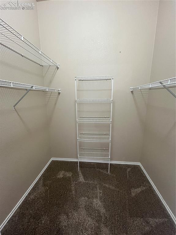 3731 Riviera Grove, Unit 203 Colorado Springs, CO 80922 - Photo 22 of 22 a view of walk in closet with clothes