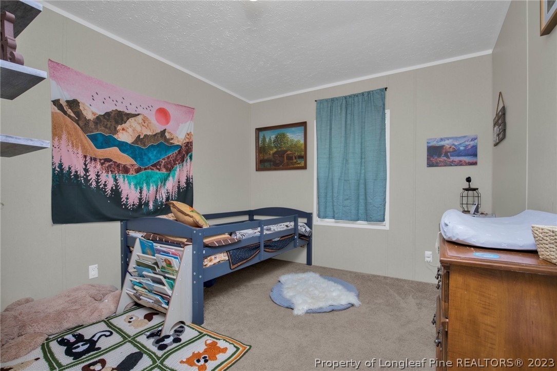 277 Black Road Cameron, NC 28326 - Photo 19 of 38 Gallery Image 19