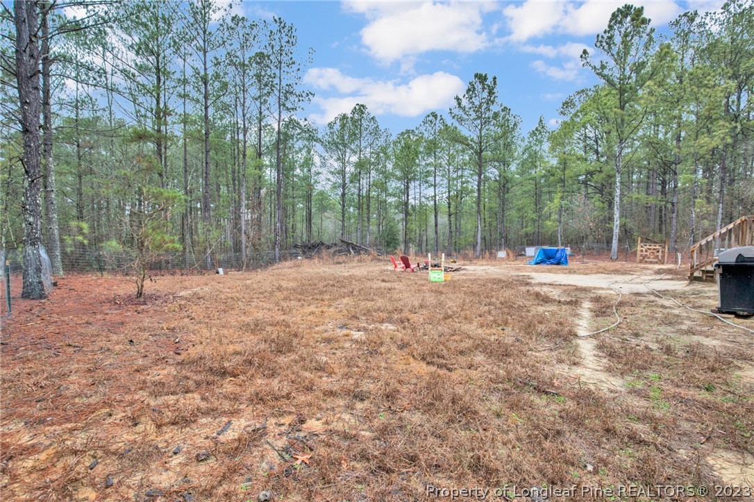 277 Black Road Cameron, NC 28326 - Photo 26 of 38 Gallery Image 26
