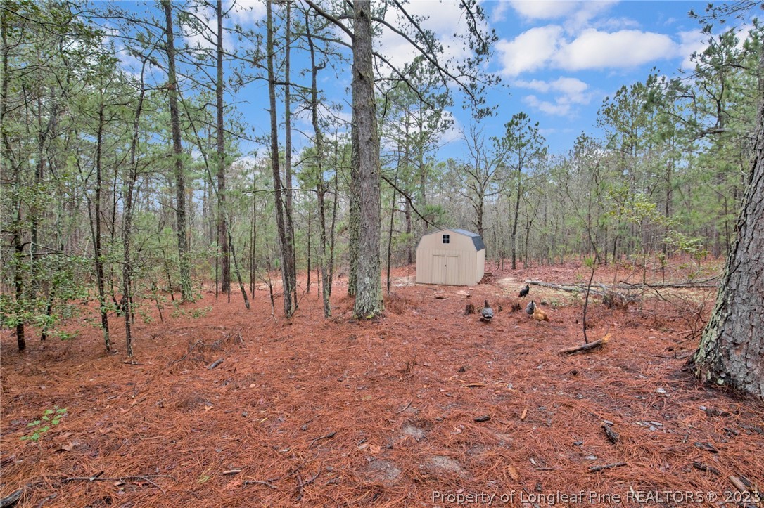 277 Black Road Cameron, NC 28326 - Photo 34 of 38 Gallery Image 34