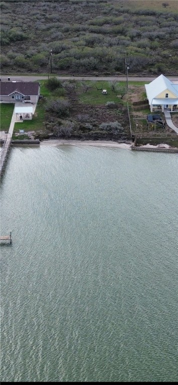 0 Nuebauer Point Road Riviera, TX 78379 - Photo 4 of 5