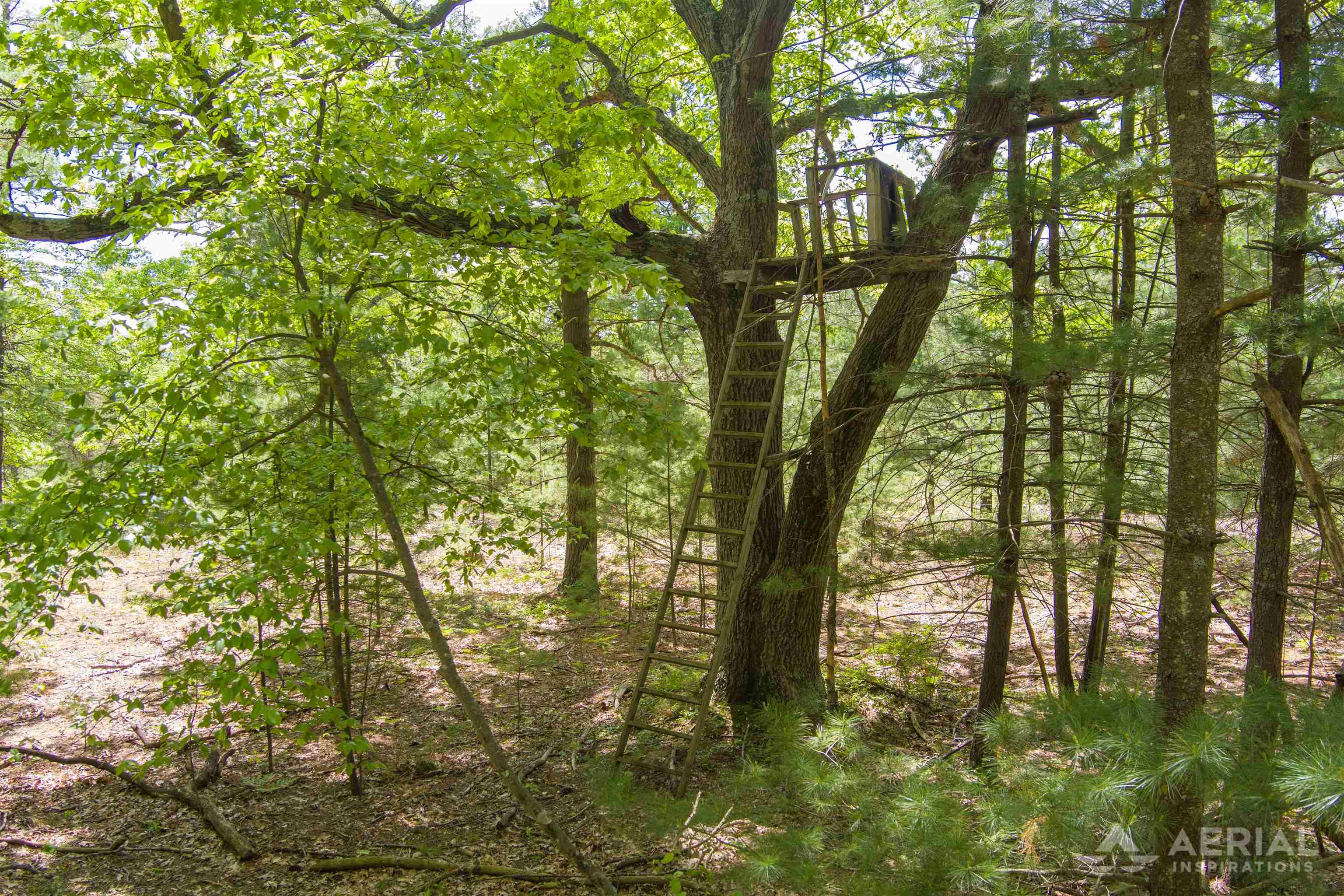 0 East Sugar River Road Alger, MI 48610 - Photo 6 of 12 Gallery Image 6