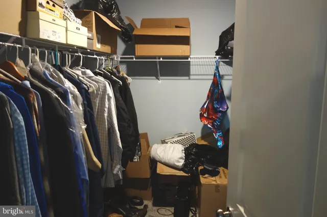 a bathroom with a shower and a toilet