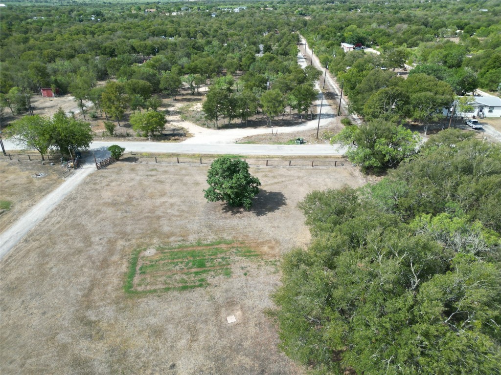622 Long Hollow Road Dale, TX 78616 - Photo 7 of 19 a view of a yard with a tree