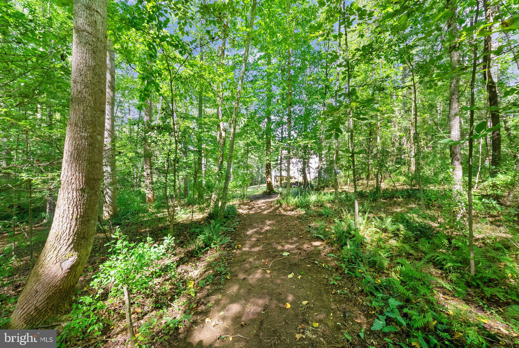 16134 Quail Ridge Drive Rixeyville, VA 22737 - Photo 61 of 73 Gallery Image 61
