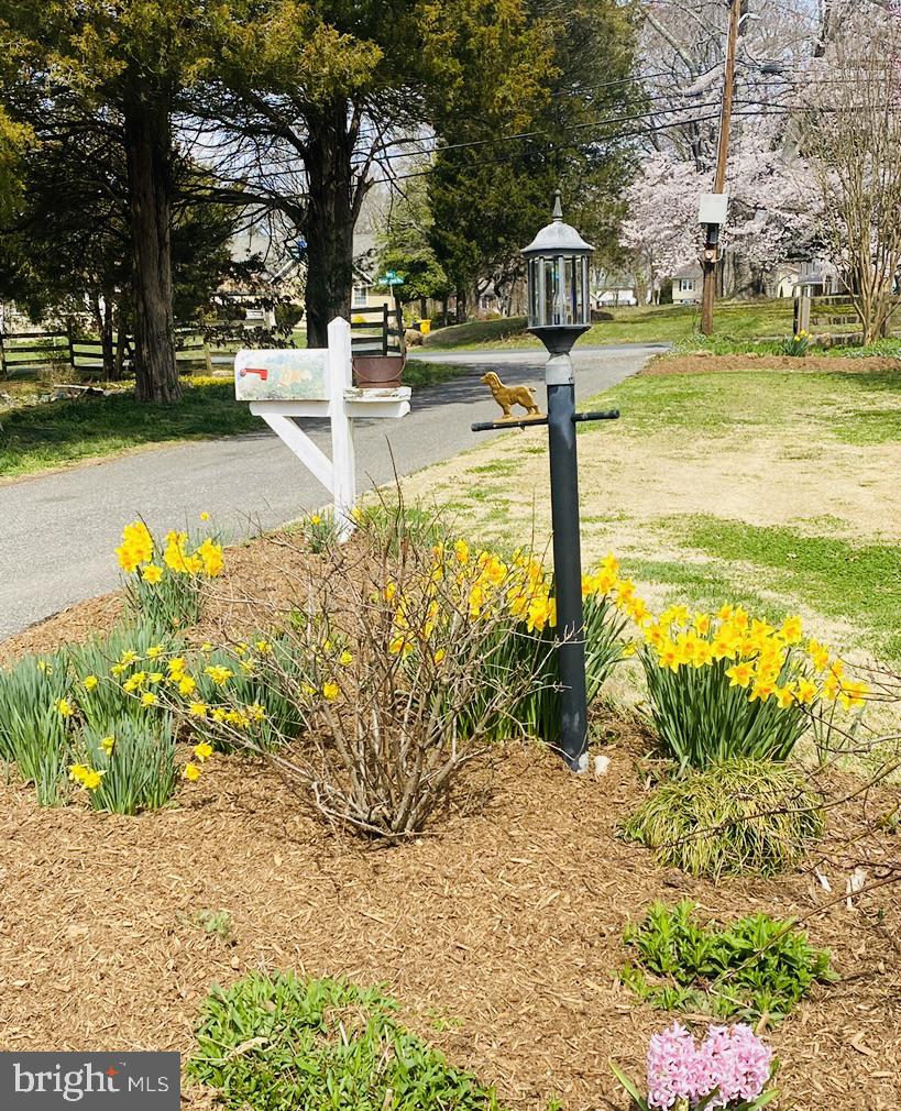 683 Wf King Road Annapolis, MD 21403 - Photo 44 of 49 Gallery Image 44