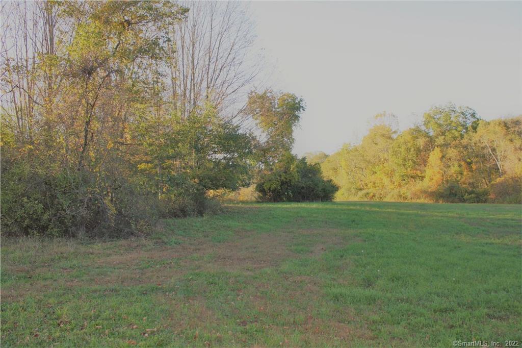 a view of a field with trees