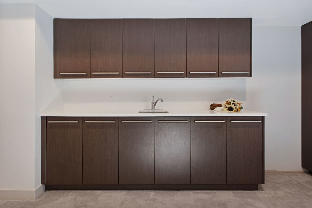 1606 Elliott Street Park Ridge, IL 60068 - Photo 32 of 36 a close view of wooden cabinets
