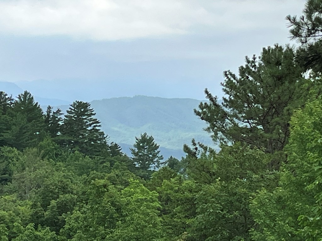 1081 Cove Road, Unit U1023 Sevierville, TN 37876 - Photo 6 of 20