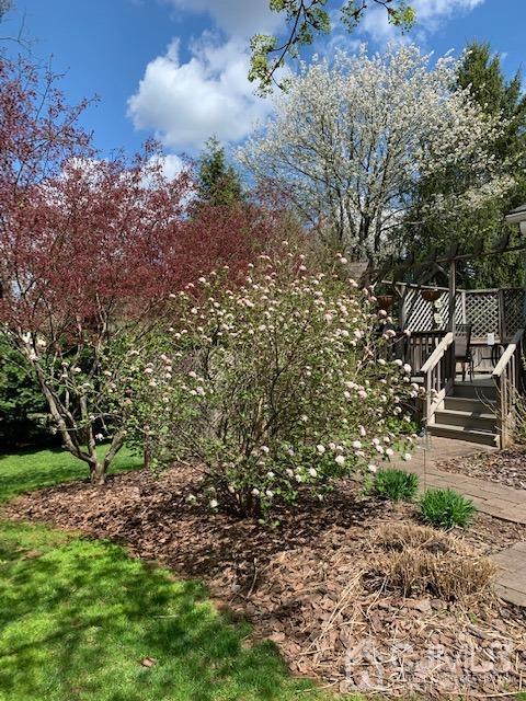170 Wilson Road Somerset, NJ 08873 - Photo 36 of 57 a view of a yard