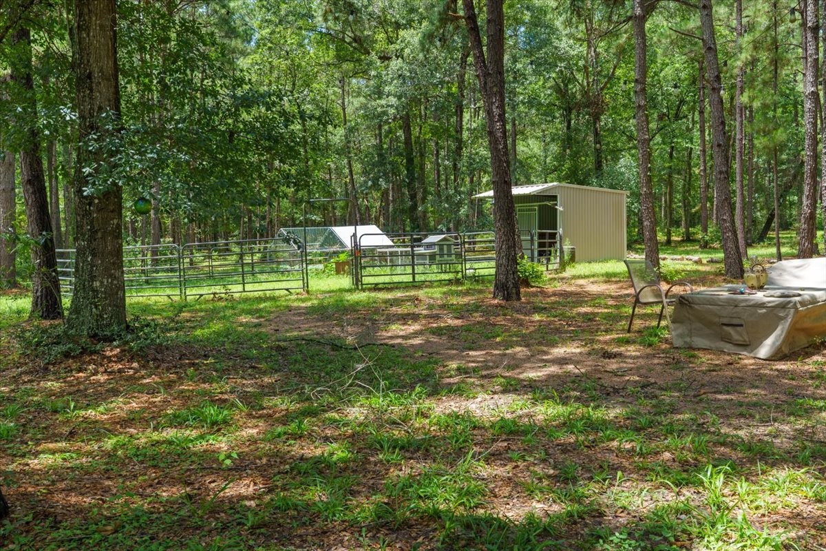 16375 Grand Flower Road Plantersville, TX 77363 - Photo 20 of 50 a backyard of a house with lots of green space and fountain