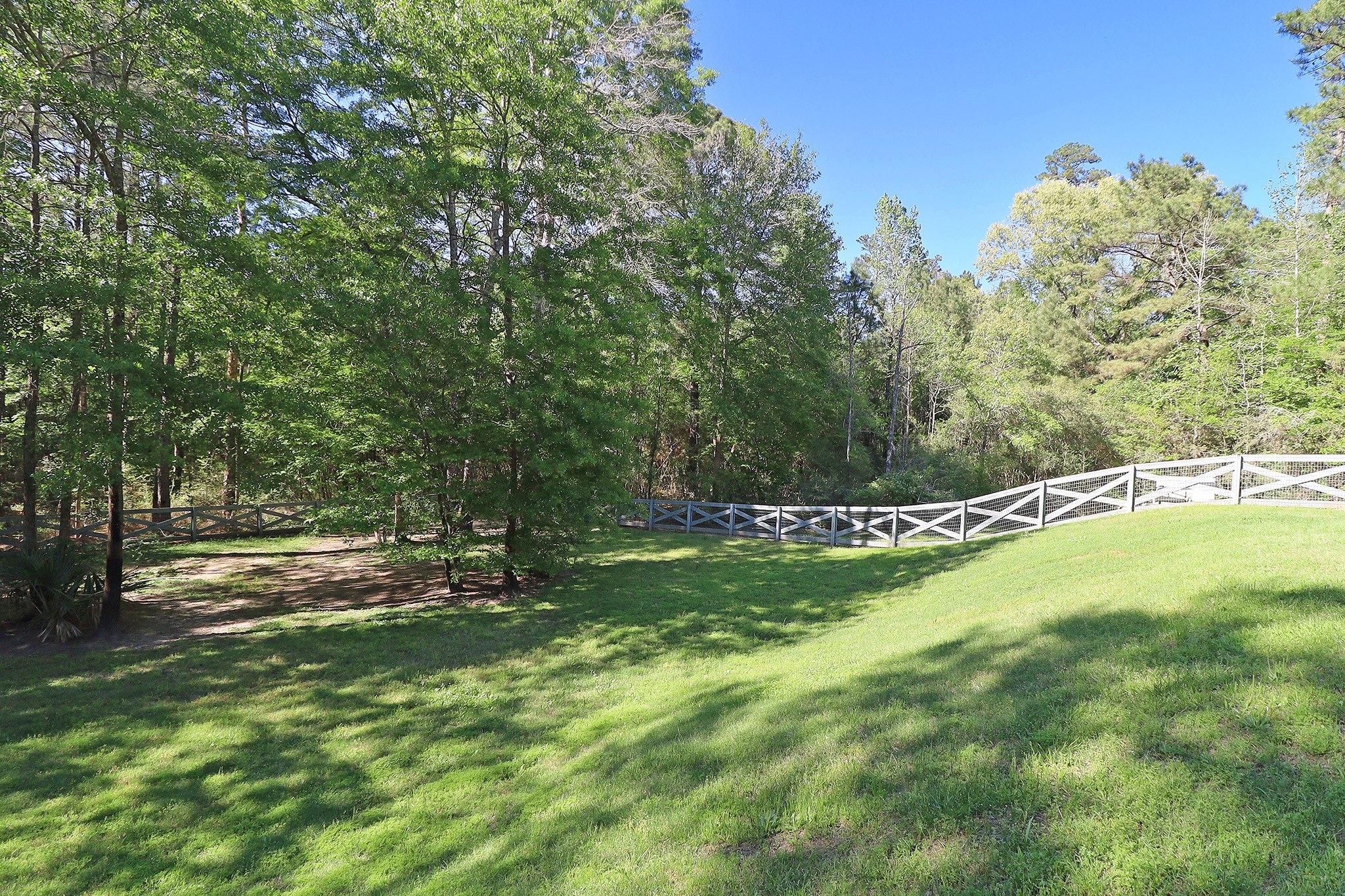 121 Red Hawk Road Huntsville, TX 77340 - Photo 40 of 48 Absolutely beautiful view