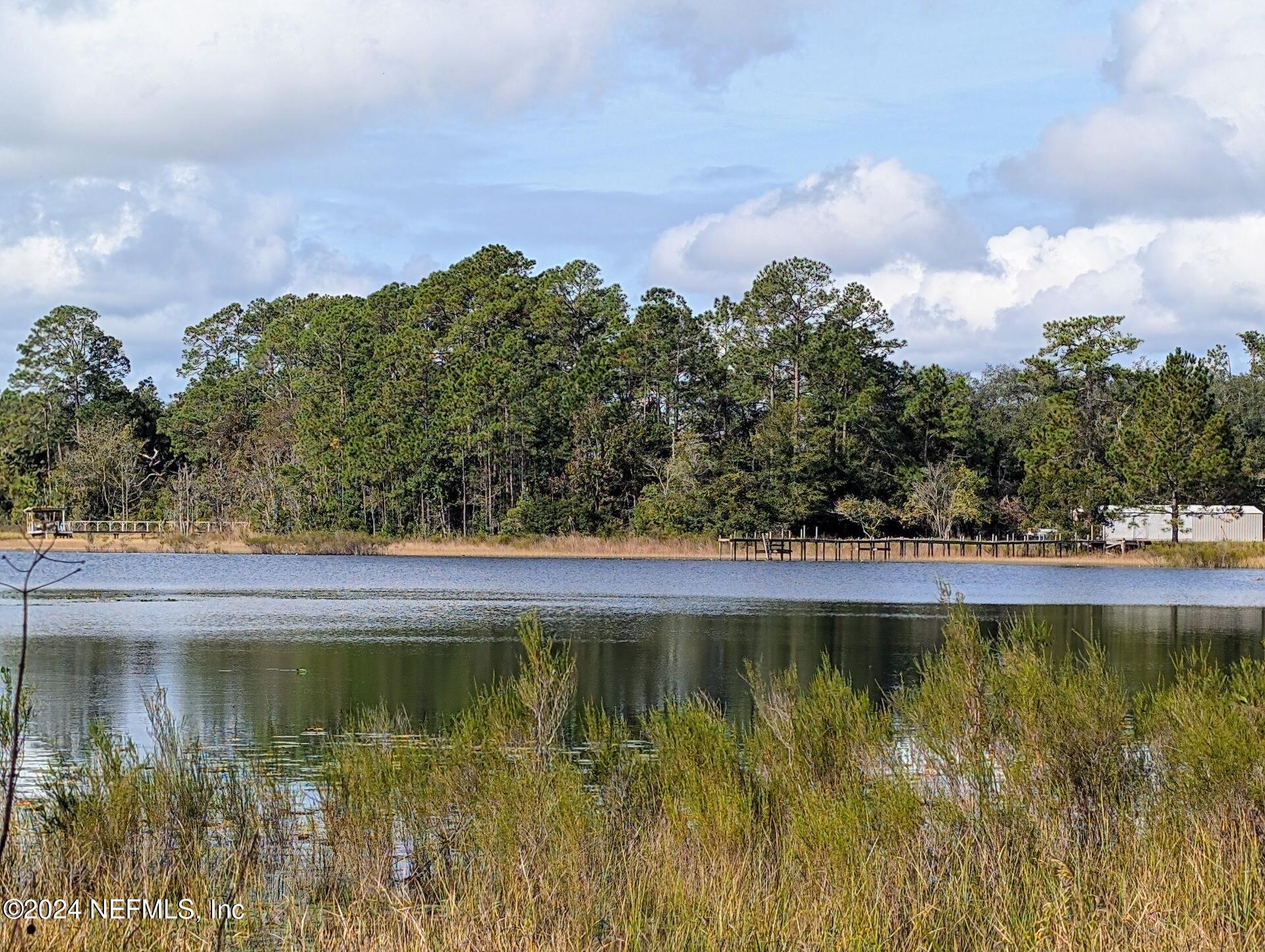 133 Mullis Avenue Interlachen, FL 32148 - Photo 30 of 45 Scenic Lake View-st-cKfAdO8