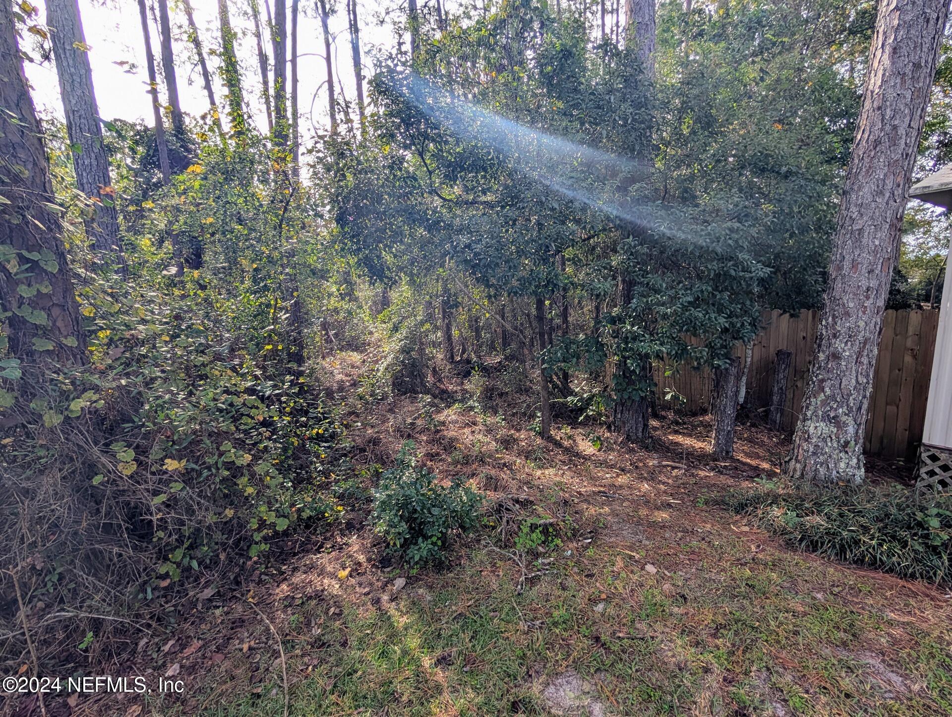 133 Mullis Avenue Interlachen, FL 32148 - Photo 33 of 45 Sunlit Forest Path