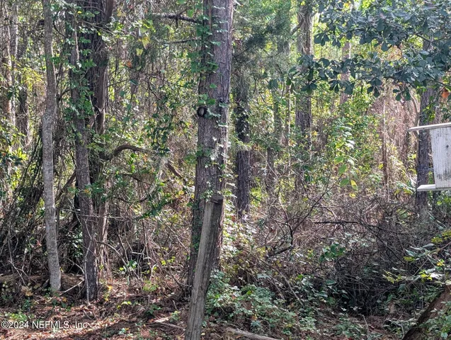 $89,000 | 133 Mullis Avenue, Interlachen, FL 32148