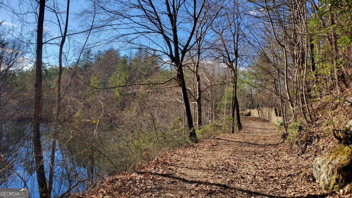 51-acre Mountain Cove Way, Unit 18 Cherry Log, GA 30522 - Photo 11 of 31