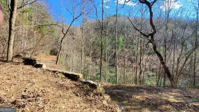 $1,800,000 | 51-acre Mountain Cove Way, Unit 18, Cherry Log, GA 30522