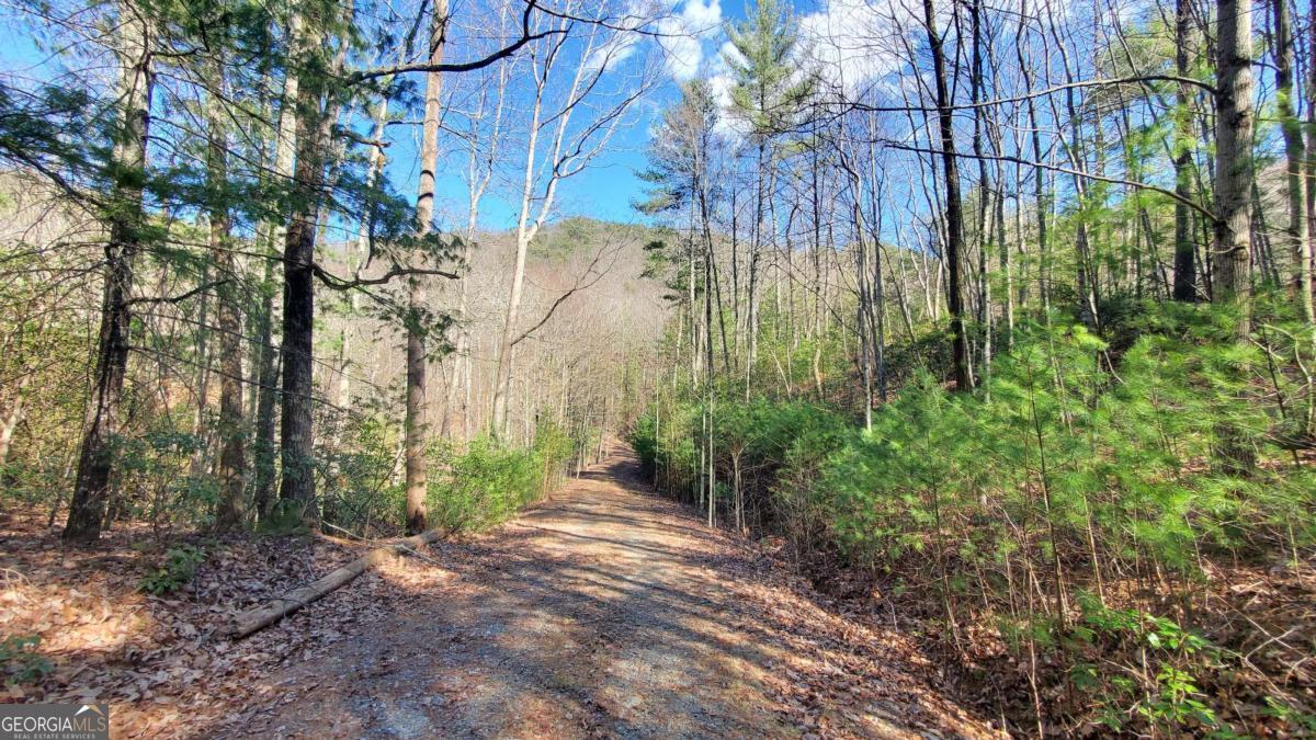 51-acre Mountain Cove Way, Unit 18 Cherry Log, GA 30522 - Photo 13 of 31