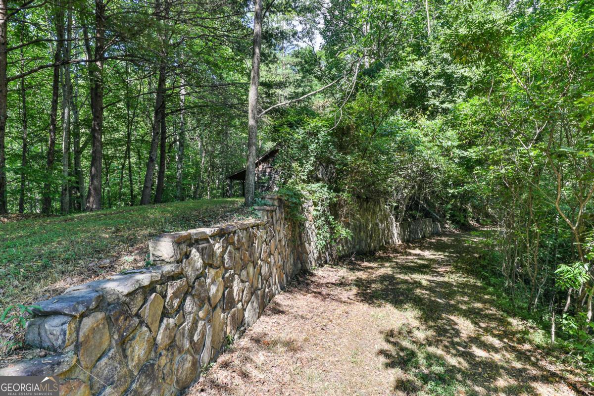 51-acre Mountain Cove Way, Unit 18 Cherry Log, GA 30522 - Photo 17 of 31
