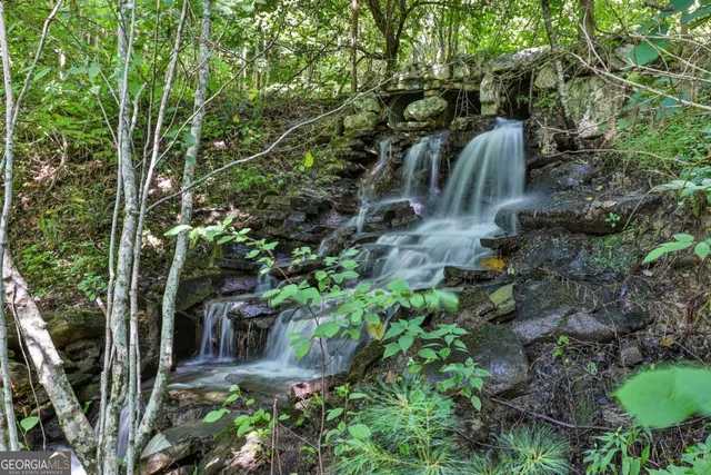 $1,800,000 | 51-acre Mountain Cove Way, Unit 18, Cherry Log, GA 30522