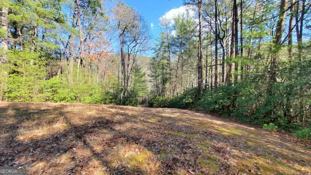 $1,800,000 | 51-acre Mountain Cove Way, Unit 18, Cherry Log, GA 30522