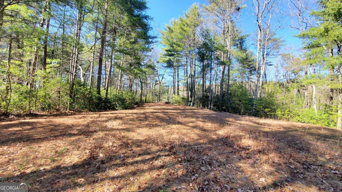 51-acre Mountain Cove Way, Unit 18 Cherry Log, GA 30522 - Photo 21 of 31