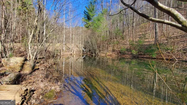 $1,800,000 | 51-acre Mountain Cove Way, Unit 18, Cherry Log, GA 30522