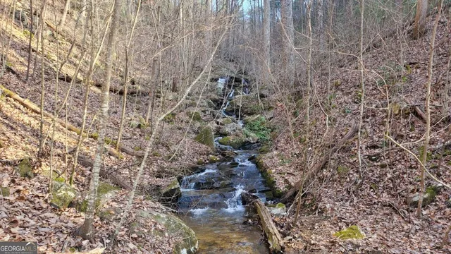 $1,800,000 | 51-acre Mountain Cove Way, Unit 18, Cherry Log, GA 30522