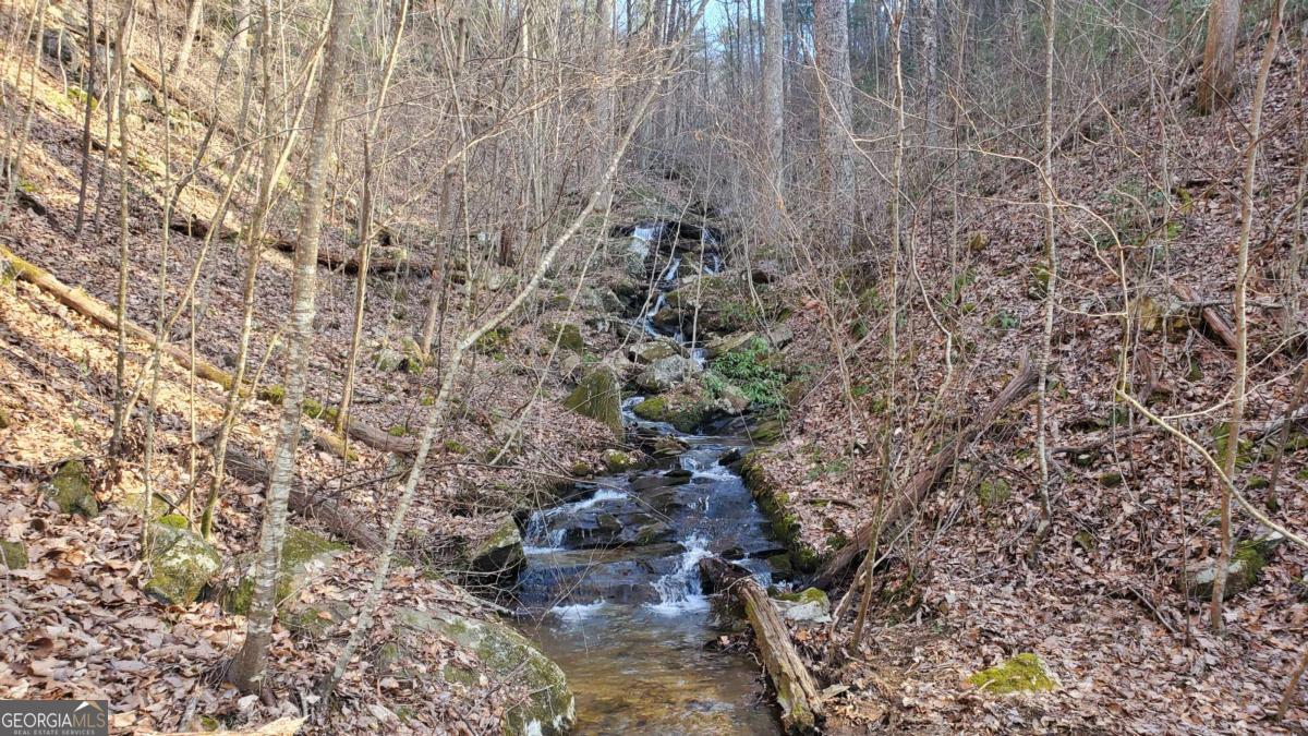 51-acre Mountain Cove Way, Unit 18 Cherry Log, GA 30522 - Photo 23 of 31