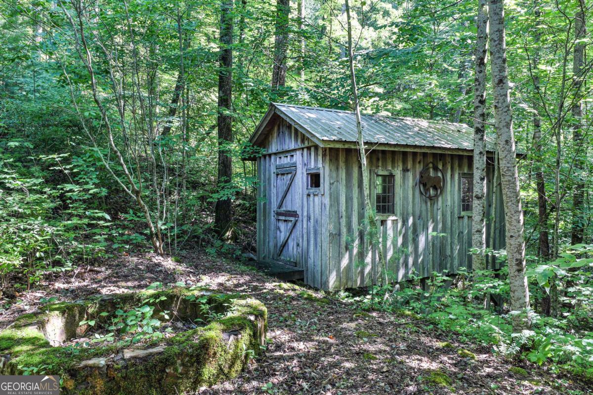 51-acre Mountain Cove Way, Unit 18 Cherry Log, GA 30522 - Photo 24 of 31