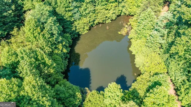 $1,800,000 | 51-acre Mountain Cove Way, Unit 18, Cherry Log, GA 30522