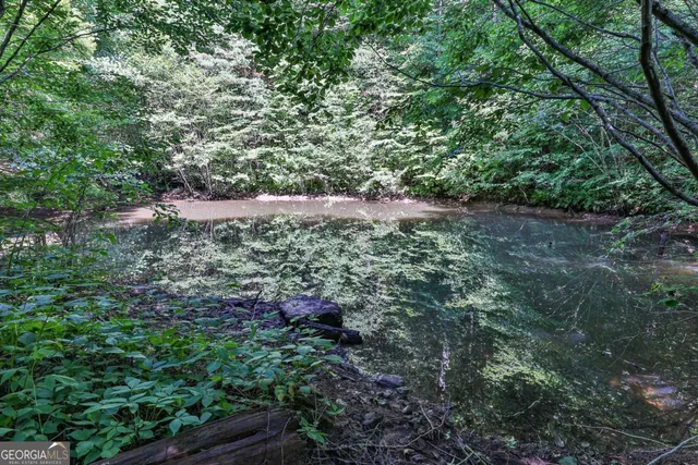 $1,800,000 | 51-acre Mountain Cove Way, Unit 18, Cherry Log, GA 30522